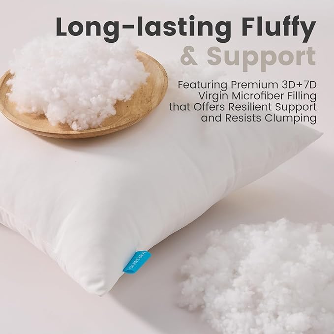 QUIETSEA 24x24 Pillow Inserts, 2 Pack Down Alternative Euro Pillow Inserts, Fluffy Soft Square Decorative Pillows for Bed, Couch and Sofa