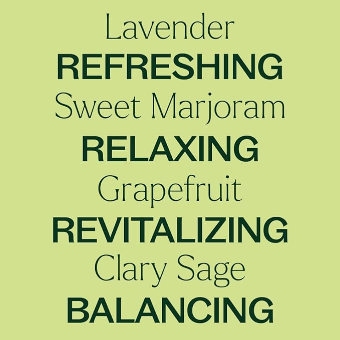 Plant Therapy The Spring Reset Essential Oil Set - Three Exclusive Spring-Focused Blends, Citrus Rise, Wildflower Calm & Herbal Boost, Supports Relaxation, Clarity, and Refreshed Energy