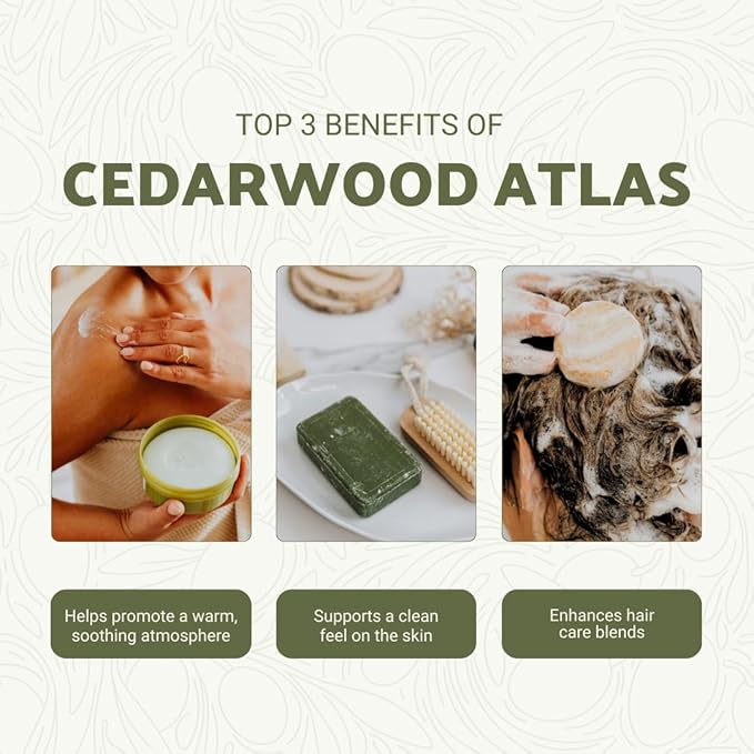 Pure Cedarwood (Atlas) Essential Oil (2lbs) - Direct from Malagassi Essential Oils Farm in Morocco - Essential Oils for Diffusers and Aromatherapy | Pure Therapeutic Grade