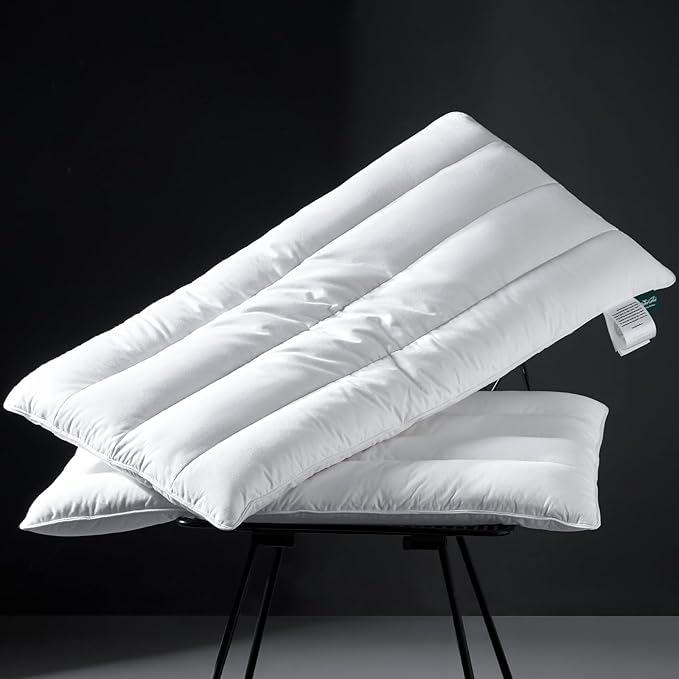Three Geese Luxury Thin Flat Goose Feather Down Pillows Queen Size Set of 2, 2.5" Height, 100% Cotton Cover, Medium Firm Hotel Collection Ultra Slim Thin Bed Pillows, Machine Washable, 18" x 30"