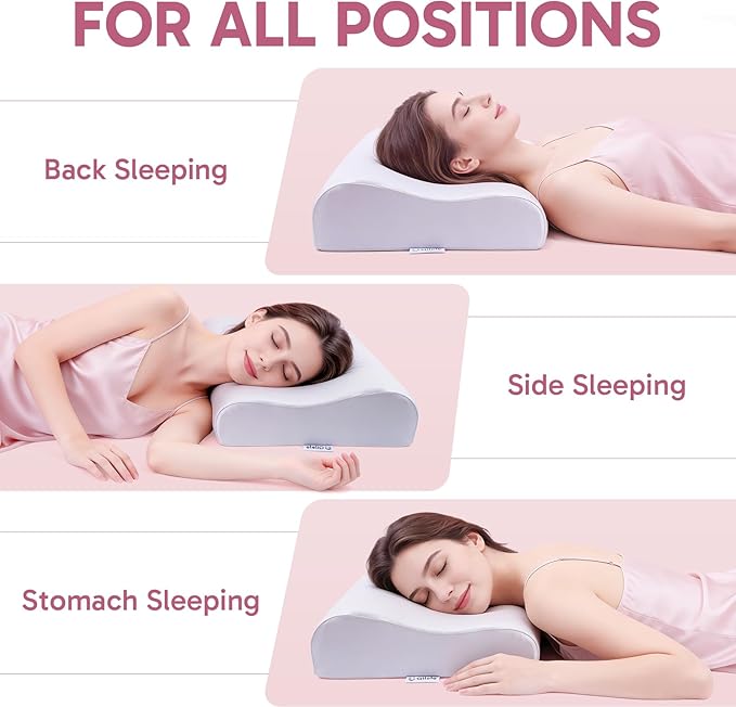 Ergonomic Memory Foam Pillow 2 heights: Mid-Low, Cervical Support Relieve Neck Back Pain, Breathable Cool Ice Silk Anti-Wrinkle Cover, SGS Certificates, for Side Back Stomach Sleeper, Queen Size