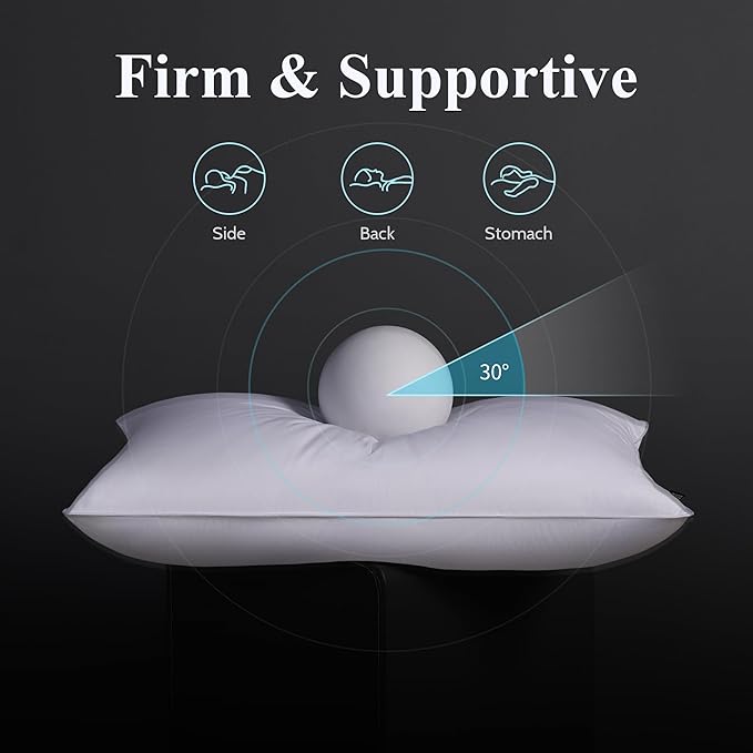DOWNSTORIA Goose Feather Down Pillow Queen Size Set of 2, Firm Hotel Collection Bed Pillows for Sleeping, 2 Pack, Down Surrounded Pillows for Side Sleepers 20 x 30 in.