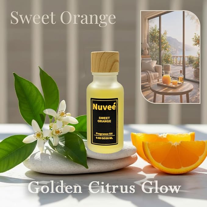 Hotel Collection Fragrance Oil Set - Inspired by Iconic Hotel Experiences - Luxury Oils for Waterless Diffusers, Long Lasting Home Fragrance - 4 x 20ml Gift Set