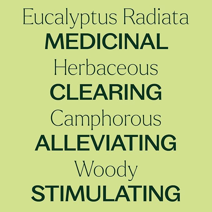 Plant Therapy Eucalyptus Radiata Essential Oil 30 mL (1 oz), 100% Pure, Undiluted, for Aromatherapy, Respiratory Support & Focus