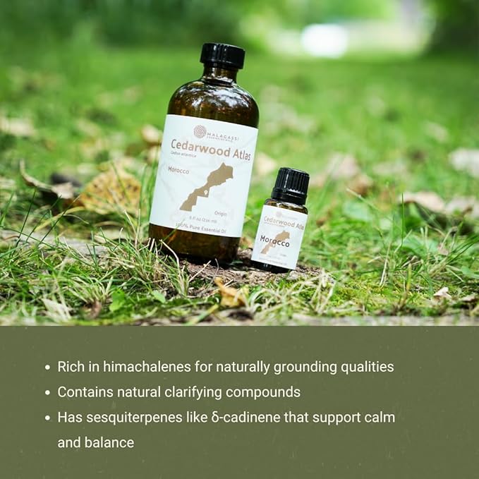 Cedarwood Atlas Essential Oil - Direct from Morocco Forests - Steam Distilled - Cedro del Atlas for Aromatherapy, Massage, Diffuser, DIY Candle and Soap Making - 8oz