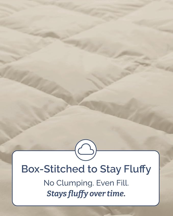 Twin Comforter Set - 5 Piece Bed in a Bag Twin Size Bed Set - Down Alternative Comforter, Flat Sheet, Fitted Sheet, Pillowcase & Sham for All Seasons - Ultra Soft, Comfy and Breathable - Brown/Beige
