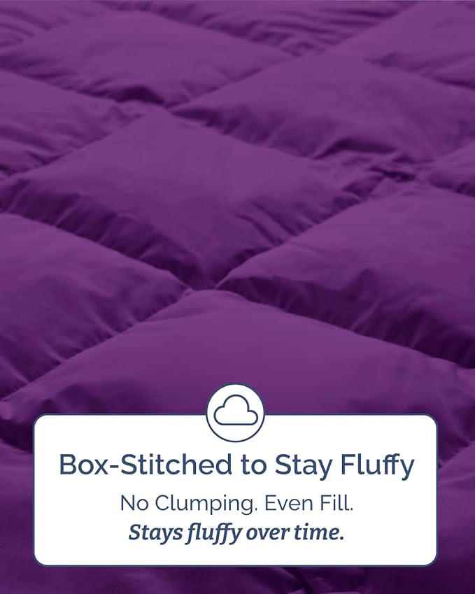 Twin Comforter Set - 5 Piece Bed in a Bag Twin Size Bed Set - Down Alternative Comforter, Flat Sheet, Fitted Sheet, Pillowcase & Sham for All Seasons - Ultra Soft, Cozy, Comfy & Breathable - Purple