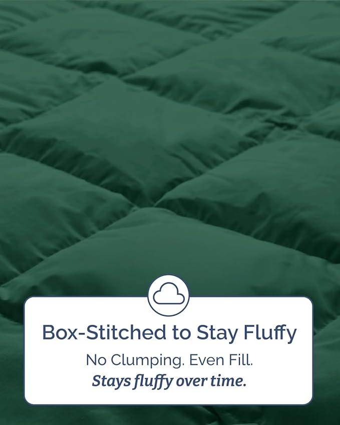 Twin Comforter Set - 5 Piece Bed in a Bag Twin Size Bed Set - Down Alternative Comforter, Flat Sheet, Fitted Sheet, Pillowcase & Sham for All Seasons - Soft, Comfy & Breathable - Light Sage/Emerald