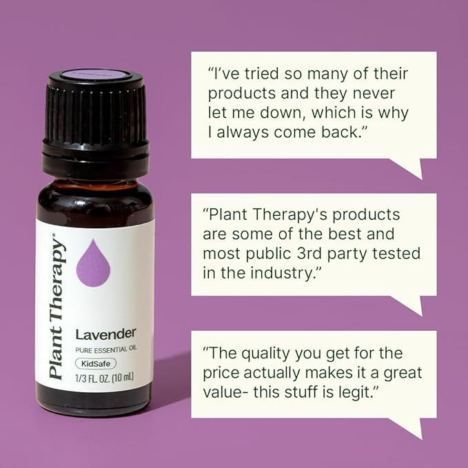 Plant Therapy Lavender Essential Oil 100% Pure, Undiluted, Natural Aromatherapy, Therapeutic Grade 100 mL (3.3 oz)