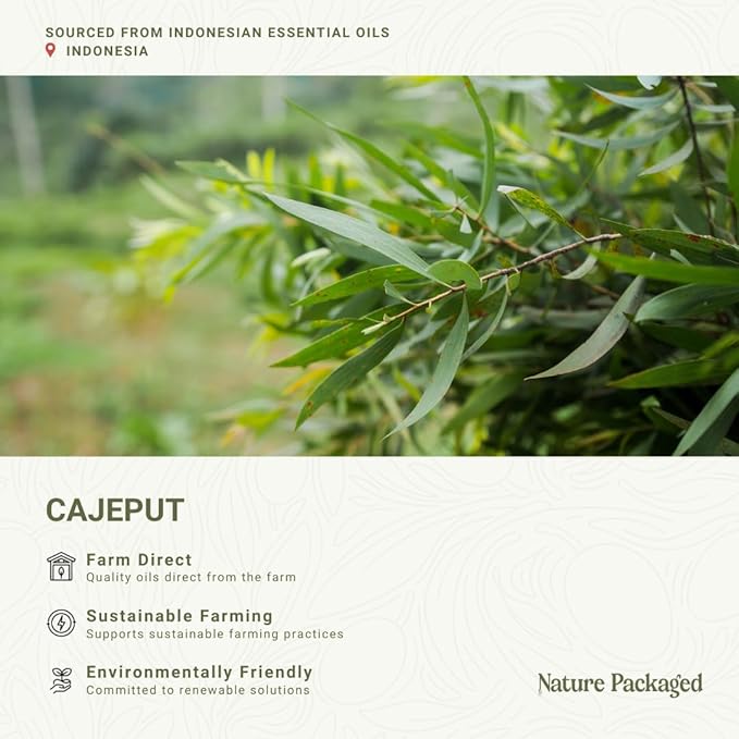Cajeput Essential Oil (15ml) - Direct from Central Java, Indonesia - Essential Oils for Diffusers Aromatherapy; Essential Oils for Body; Massage Oils | 100% Pure Therapeutic Grade