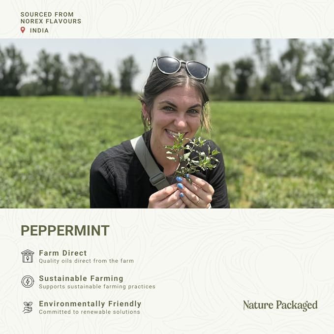 Peppermint Essential Oil - Direct from Norex Flavours India - Steam Distilled - Aceite Esencial de Menta for Aromatherapy, Massage, Diffuser, DIY Candle and Soap Making - 2lbs
