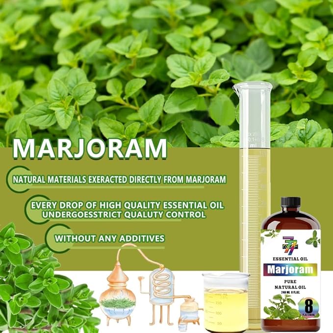 Marjoram Essential Oil - Marjoram Oils for Diffusers, Humidifiers, DIY Candles, Soap, Cleaning, Home, Office, Yoga, Massage, Gifts - 8 fl oz (240 ml) - GV77ZF