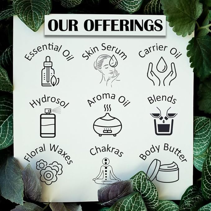 dève herbes Pure Lemongrass Essential Oil (Cymbopogon citratus) Steam Distilled (Pack of Two) 100ml X 2 (6.76 oz)