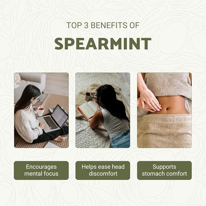 Spearmint Essential Oil - Direct from Essential Oils India - Steam Distilled - Aceite Esencial de Menta Verde for Aromatherapy, Massage, Diffuser, DIY Candle and Soap Making - 2lbs