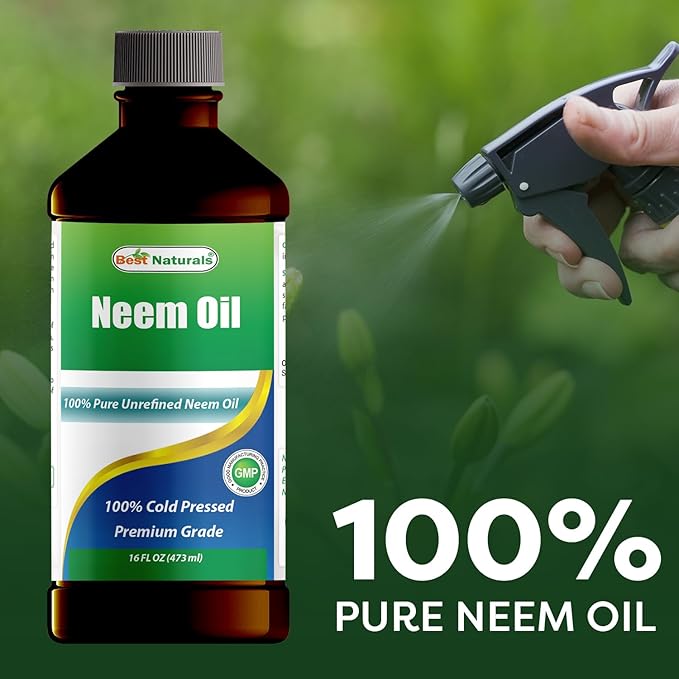 Best Naturals 100% Pure Neem Oil, 100% Cold Pressed and Unrefined - 16 OZ (3 Bottles)