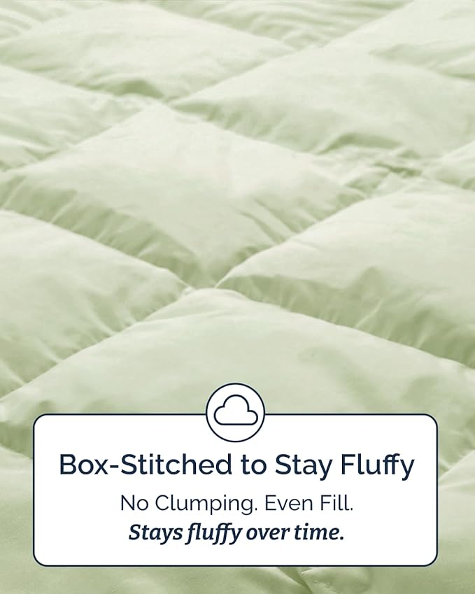 Twin XL Comforter Set - 2 Piece Bed Set for All Seasons - 1 Soft Quilted Comforter with Corner Tabs & 1 Pillow Sham - Comfy & Breathable - Premium Down Duvet Insert - Twin XL Size, Light Sage Green