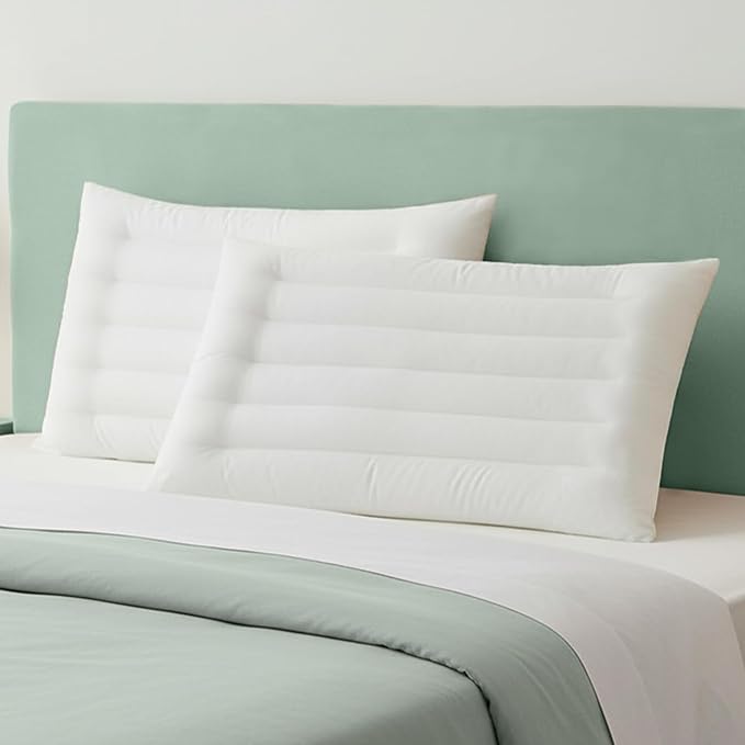 SILUI Ultra Thin Flat Pillows for Sleeping 2 Inch Height - Standard Size Set of 2 Pack Hypoallergenic Slim Low Bed Pillow with Down Alternative Fill for Back Stomach Sleepers, 18x26 Inches