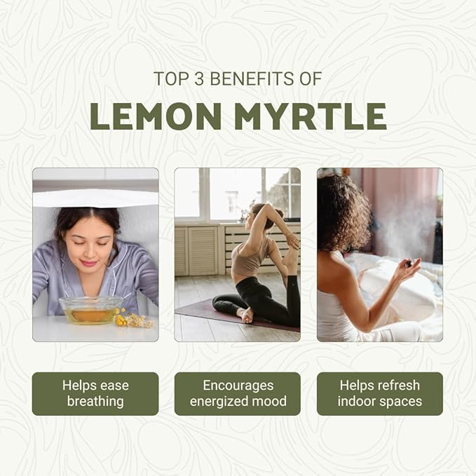 Lemon Myrtle Essential Oil - Experience an Invigorating, Fresh Citrus Aroma - Pure, Undiluted Therapeutic Grade Essential Oil - 5 ml