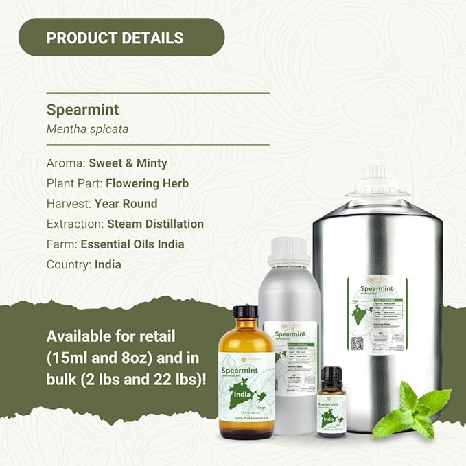 Spearmint Essential Oil - Direct from Essential Oils India - Steam Distilled - Aceite Esencial de Menta Verde for Aromatherapy, Massage, Diffuser, DIY Candle and Soap Making - 2lbs