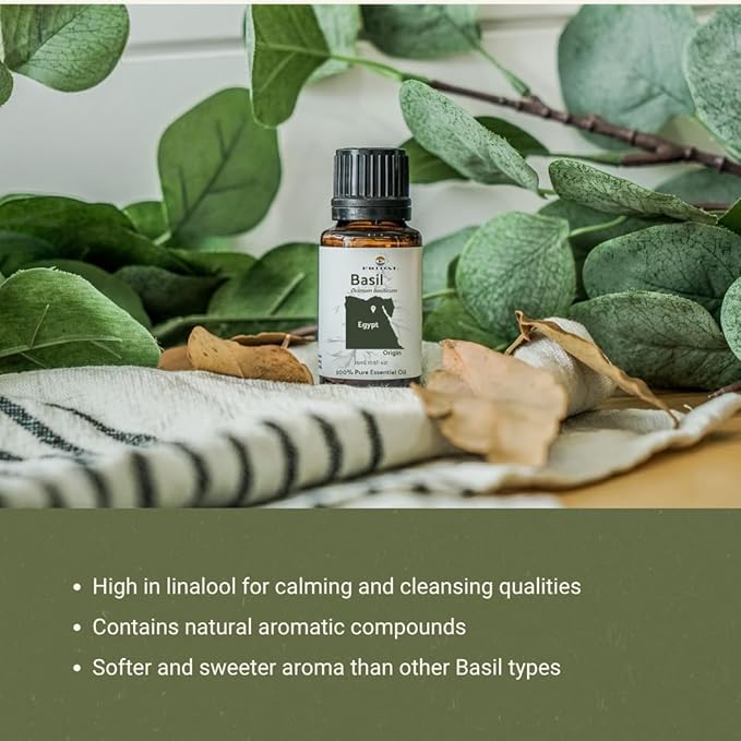 Basil Essential Oil - Direct from Fridal Egypt - Steam Distilled - Aceite de Albahaca for Aromatherapy, Massage, Diffuser, DIY Candle and Soap Making - 15ml