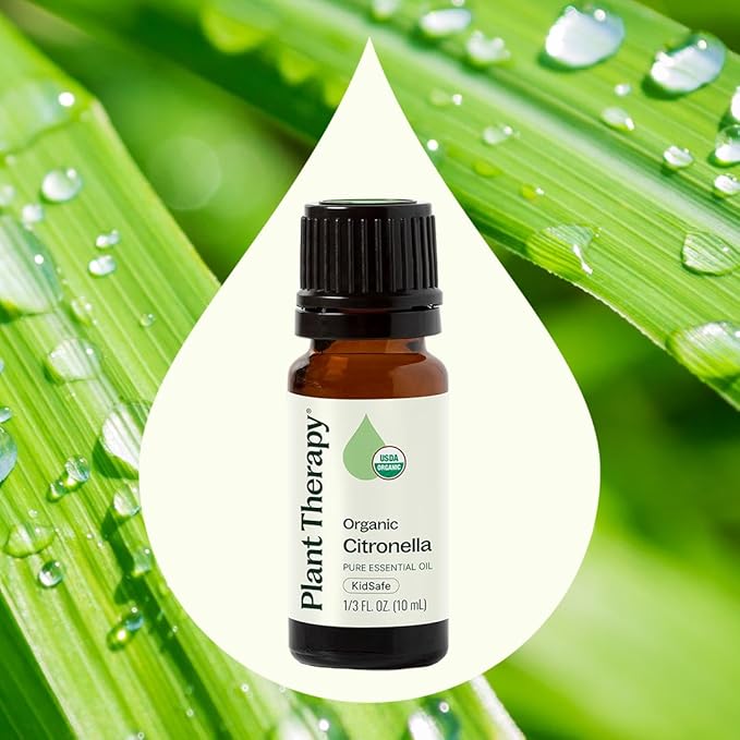 Plant Therapy Citronella Organic Essential Oil 10 mL (1/3 oz), 100% Pure, USDA Certified Organic, Undiluted, Natural Aromatherapy for Outdoor Pests and Immune Support