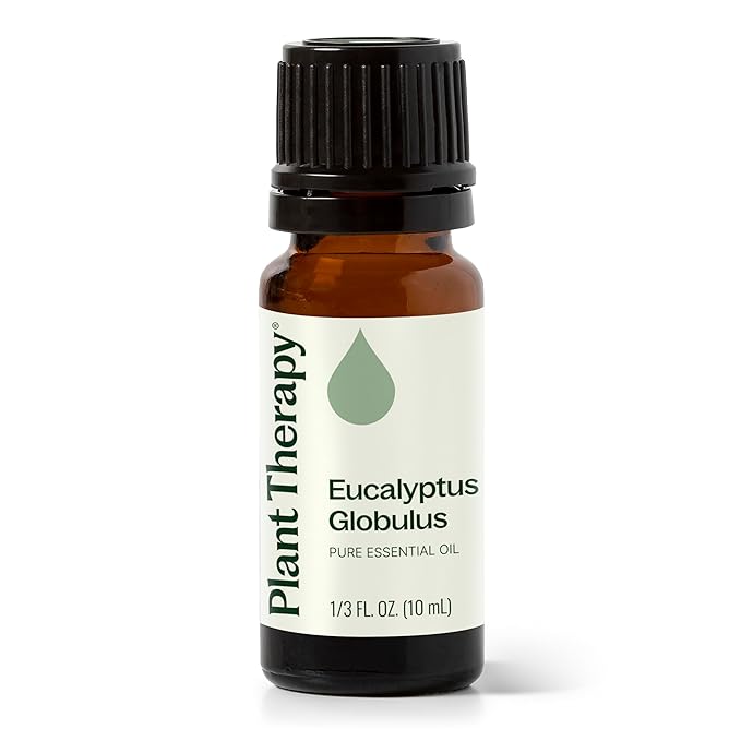 Plant Therapy Eucalyptus Globulus Essential Oil 10 mL (1/3 oz) 100% Pure, Undiluted for Diffuser, Skin, Hair, Aromatherapy DIYs, and Respiratory Support