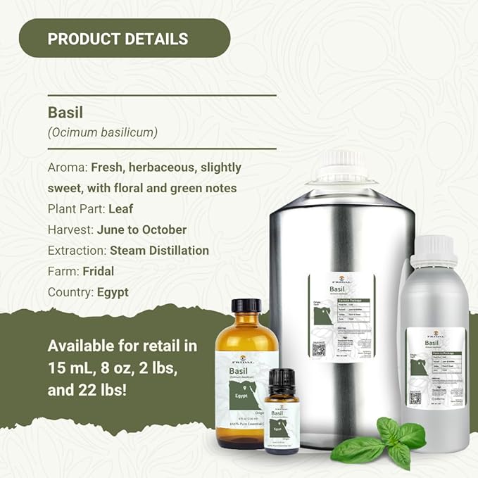 Basil Essential Oil - Direct from Fridal Egypt - Steam Distilled - Aceite de Albahaca for Aromatherapy, Massage, Diffuser, DIY Candle and Soap Making - 2 lbs