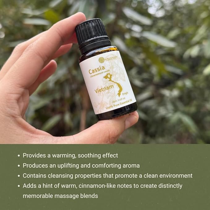 Cassia Essential Oil - Direct from Vietnamese Mountain Farms - Steam Distilled - Aceite de Casia for Aromatherapy, Massage, Diffuser, DIY Candle and Soap Making - 15ml