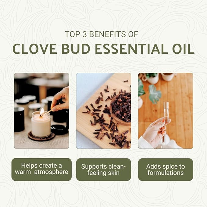 100% Pure Clove Essential Oils - Essential Oils for Diffusers Aromatherapy & Humidifiers (2Lb) | Natural Cold-Pressed