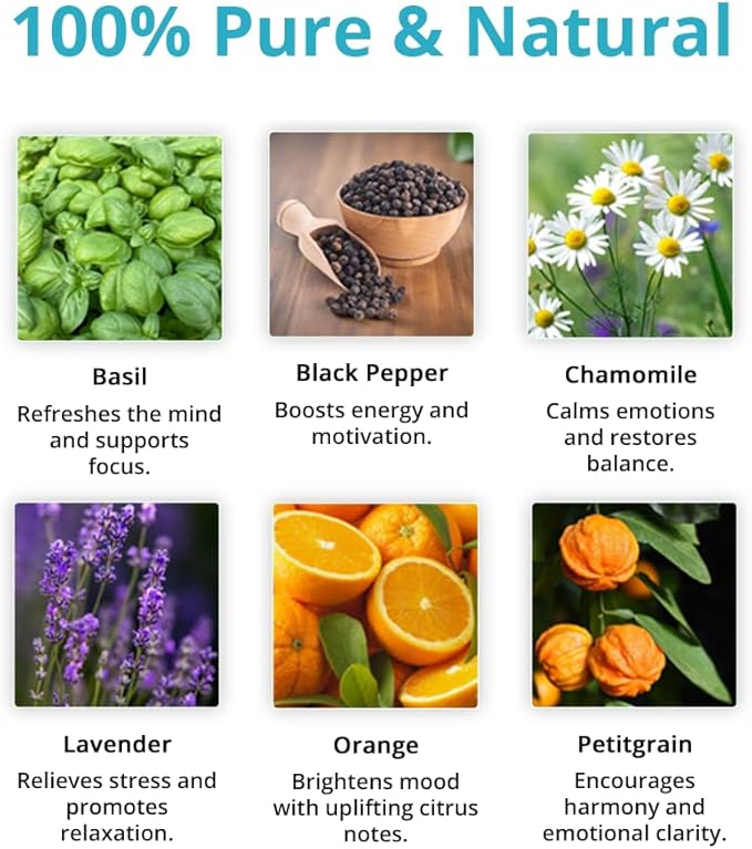 Wild Essentials Cheer The F Up Essential Oil Blend, Happy Uplifting Aromatherapy Oil for Diffusers, 100% Pure, Crafted in USA