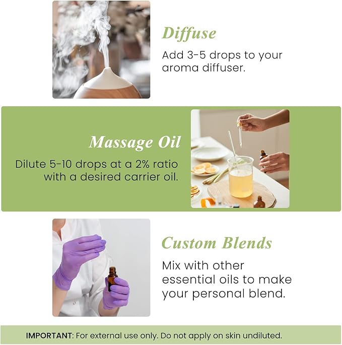 Handcraft Blends Herbal Focus Set: Peppermint and Basil Essential Oils – (2 x 4 Fl Oz) – 100% Pure & Natural – for Diffuser, Aromatherapy, and DIY Projects
