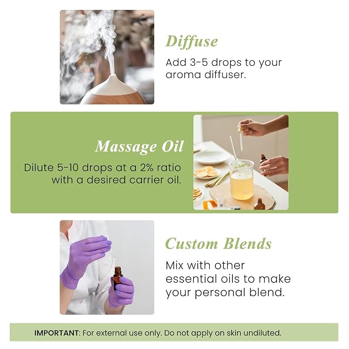 Handcraft Blends Peppermint, Eucalyptus, Lavender Essential Oil Set - 4 Fl. Oz, 100% Pure and Natural, Therapeutic Grade with Premium Glass Dropper