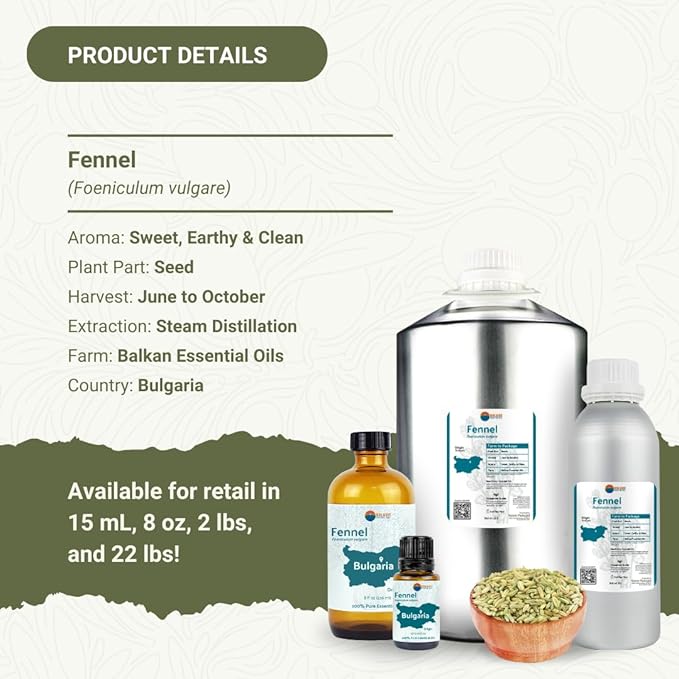 Fennel Essential Oil (Sweet Fennel) - Direct from Balkan Essential Oils - Pure Aromatherapy Diffuser Oils | 100% Pure Therapeutic Grade Natural Aceite de Hinojo (15ml)