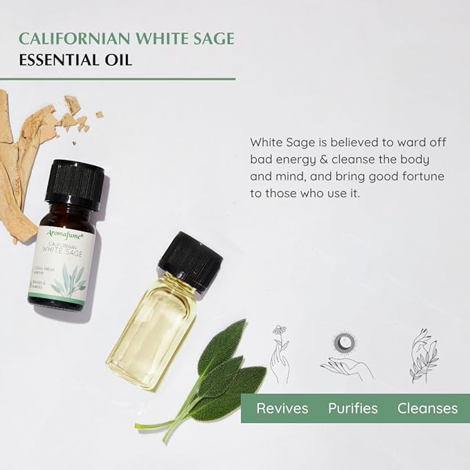 Californian White Sage Essential Oil Diffuser Blend by Aromafume | 3x10ml/0.33 fl oz | Aromatherapy Oil for Cleansing Negative Energy & Protection | Ethically sourced | Sage Oil for Smokeless Smudging