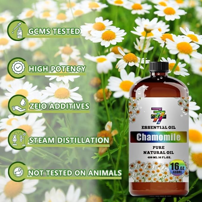 Chamomile Essential Oil - Chamomile Oils for Diffusers, Humidifiers, DIY Candles, Soap, Cleaning, Home, Office, Yoga, Massage, Gifts - 16 fl oz (480 ml) - GV77ZF