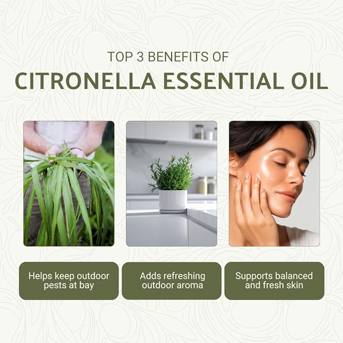 Citronella Essential Oil - Direct from Central Java, Indonesia - Pure Essential Oil for Diffusers and Aromatherapy | 100% Pure Therapeutic Grade (2lbs)