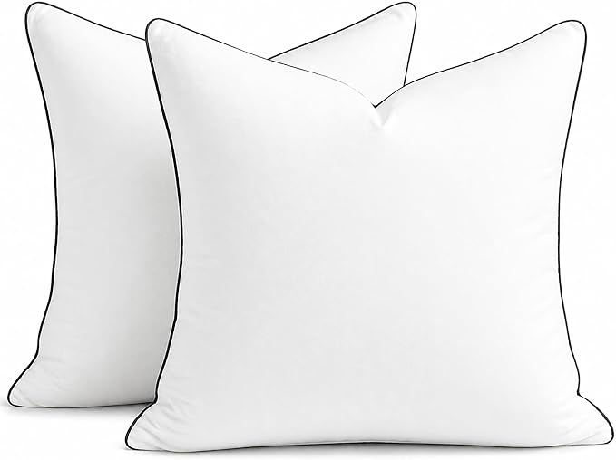 puredown® 20x20 Pillow Inserts Set of 2, Fluffy Overfilled Down Alternative Decorative Pillows, Soft Plush Throw Pillows for Couch, Sofa, Bed and Home Decor