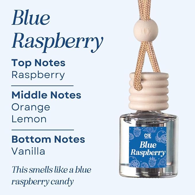 CANDECraftCo Car Air Hanging Fragrance Oil, Car Auto Freshener for Essential Oils, Scents Fragrance Aromatherapy Automobile Diffuser, Long Lasting (Blue Raspberry)
