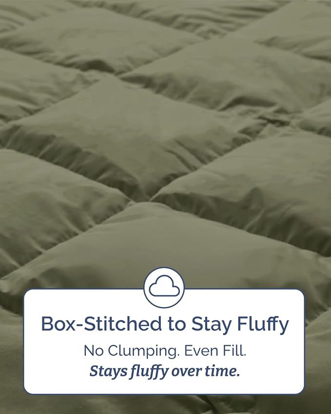 Twin Comforter Set - 5 Piece Bed in a Bag Twin Size Bed Set - Down Alternative Comforter, Flat Sheet, Fitted Sheet, Pillowcase & Sham for All Seasons - Ultra Soft, Comfy and Breathable - Sage Green
