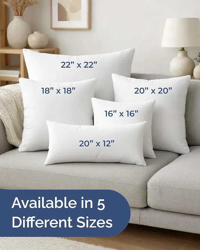 Throw Pillow Inserts 22x22 Set of 2 - Fluffy Down Alternative Fill - 10% More Fill Than Standard Loft - Plump Bounce-Back Support for Indoor & Outdoor Use - Hypoallergenic & Machine Washable - White