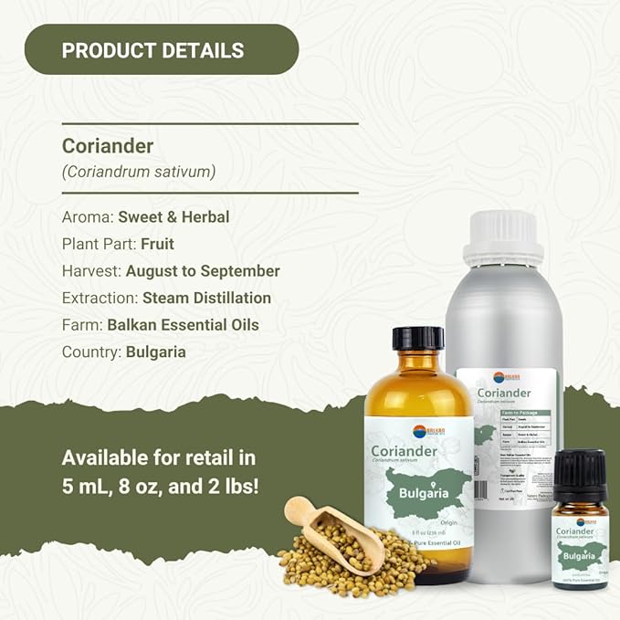 Coriander Essential Oil - Direct from Bulgarian Balkan Mountains - Steam Distilled - Aceite Cilantro for Aromatherapy, Massage, Diffuser, DIY Candle and Soap Making - 8oz