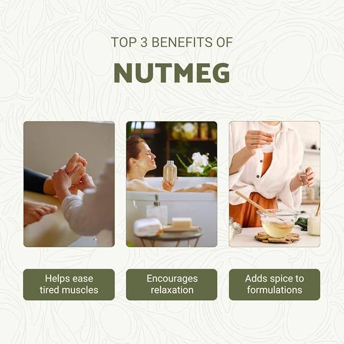 Nutmeg Essential Oil - Direct from Central Java, Indonesia - Pure Essential Oils for Diffusers, Muscle Relief and Aromatherapy | Premium Therapeutic Grade (15ml)