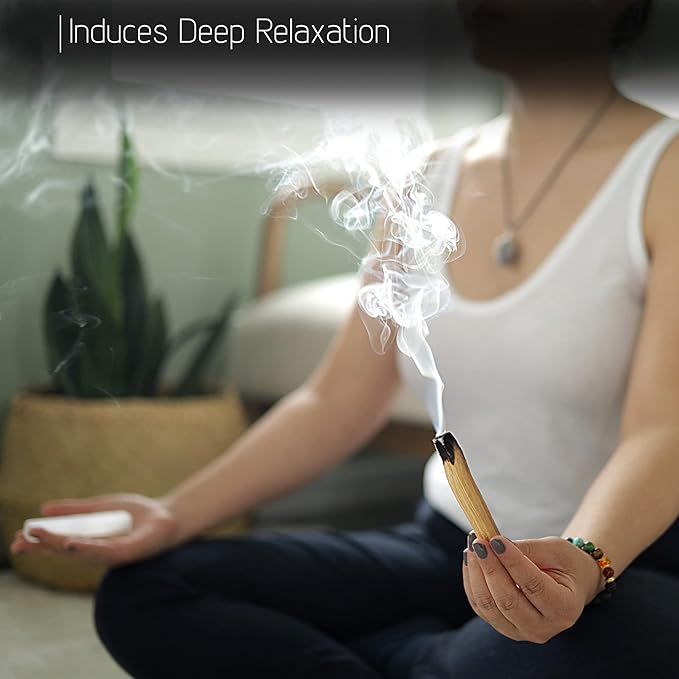 Wish Well Sage Smudge Kit ~ 4" White Sage Smudge Stick, Palo Santo Sticks, Abalone Shell, Stand, Feather ~ Cleansing House & Meditation ~ Energy Healing & Reiki ~ Perfect Starter Kit with Instructions