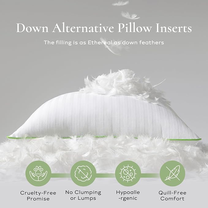 Ashler Home Deco Synthetic Down Pillow Inserts, 28x28 Down Alternative Throw Pillows Insert Sleeping Pillows with 100% Cotton Cover Decorative Pillow Stuffer for Sofa, Couch Bed(Set of 2, White)