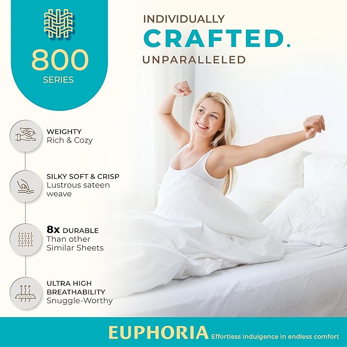 Thread Spread 100% Egyptian Cotton Queen Pillow Cases Set of 2 - Luxury 800 Series Euphoria Collection Queen Pillow Cases (Ivory), Soft Cooling Hotel Cotton Pillowcases, Fits Standard Pillows