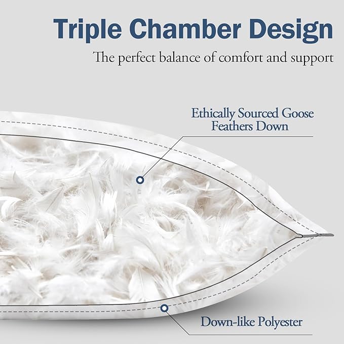 BPC Goose Feather Down Pillows Standard Size Set of 2, Luxury Feather Pillows for Sleeping, 100% Organic Cotton Cover, Soft Support Surround Fill Down Alternative, Hotel Collection Bed Pillows 20"x26"
