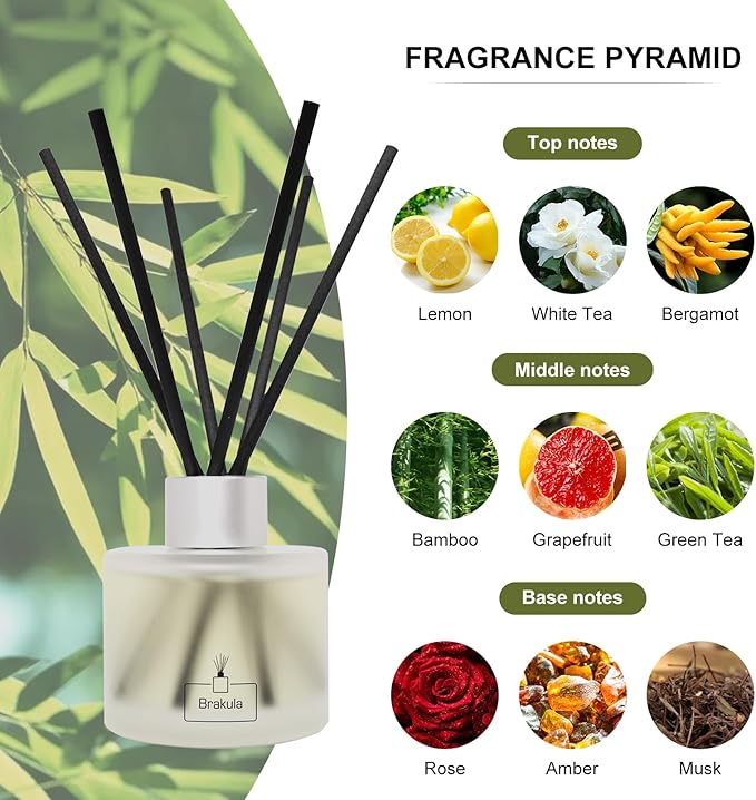 Brakula Reed Diffuser Set, 100ml Bamboo & White Tea Scented Essential Oil Diffuser, Home Fragrance for Living Room, Bathroom, Office
