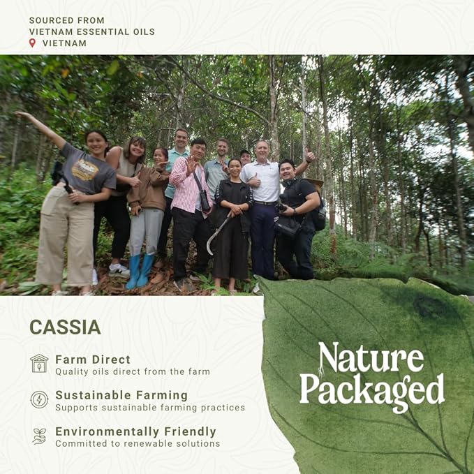 Cassia Essential Oil - Direct from Vietnamese Mountain Farms - Steam Distilled - Aceite de Casia for Aromatherapy, Massage, Diffuser, DIY Candle and Soap Making - 15ml