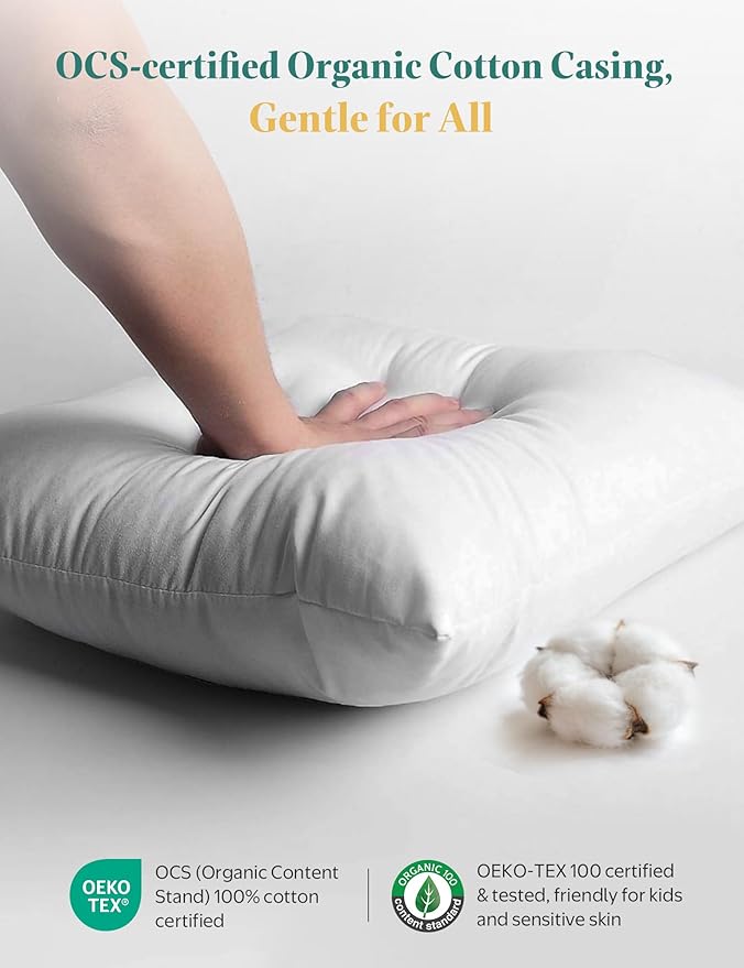 APSMILE Organic Cotton Goose Feather Down Plus Throw Pillow Inserts, 20x20 Inch Set of 2, Soft Supportive Square Decorative Pillow Forms for Couch, Sofa, Bed