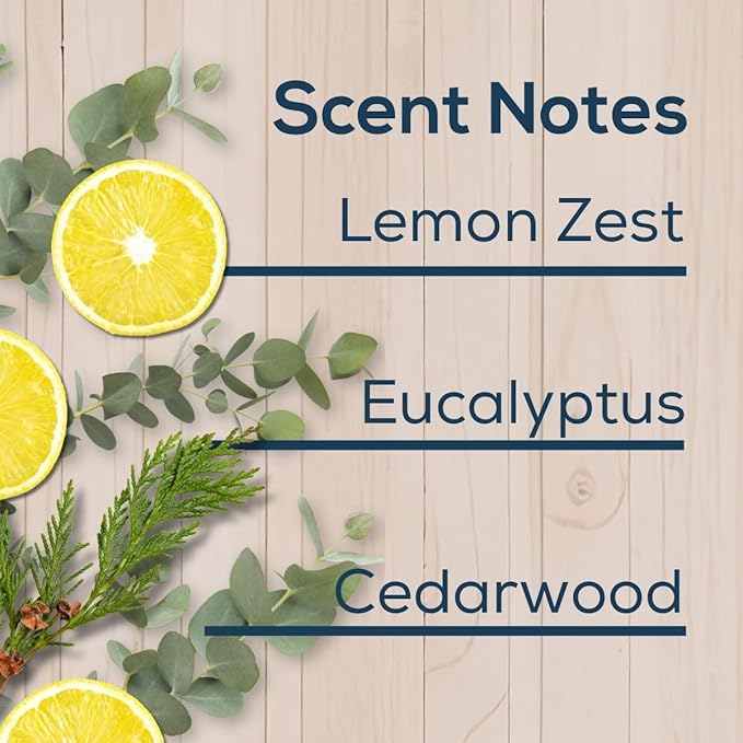 Scent Fill 100% Natural Eucalyptus Plug in Air Freshener, Scented Oil Refills, 2 Refills + Diffuser